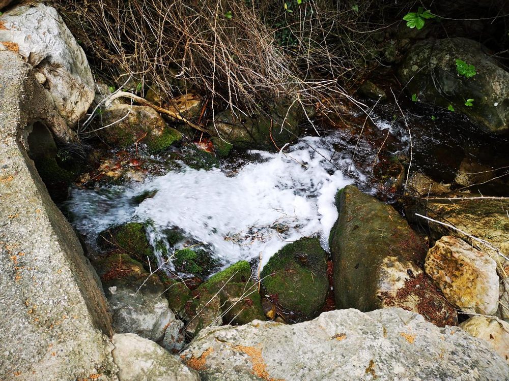 Un salt d’aigua entre roques i molsa