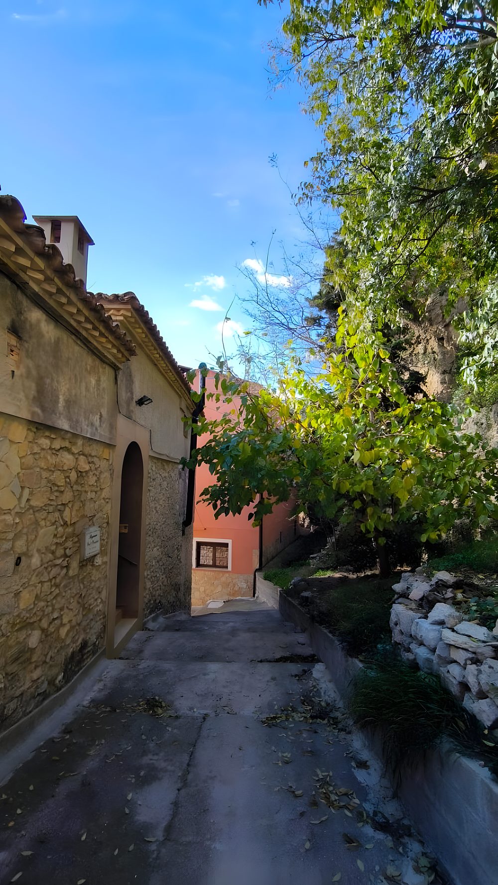 Un carrer de pedra de Paüls amb un arbre